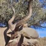 Spiral Horn Adventure