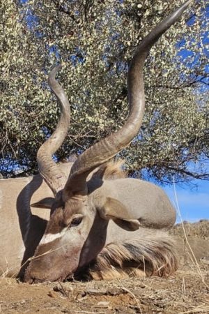 Spiral Horn Adventure