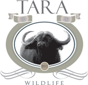 Tara-Safari.com